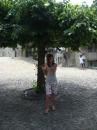 dsc02420.jpg